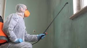 Trusted Port Wentworth, GA Mold Removal Experts